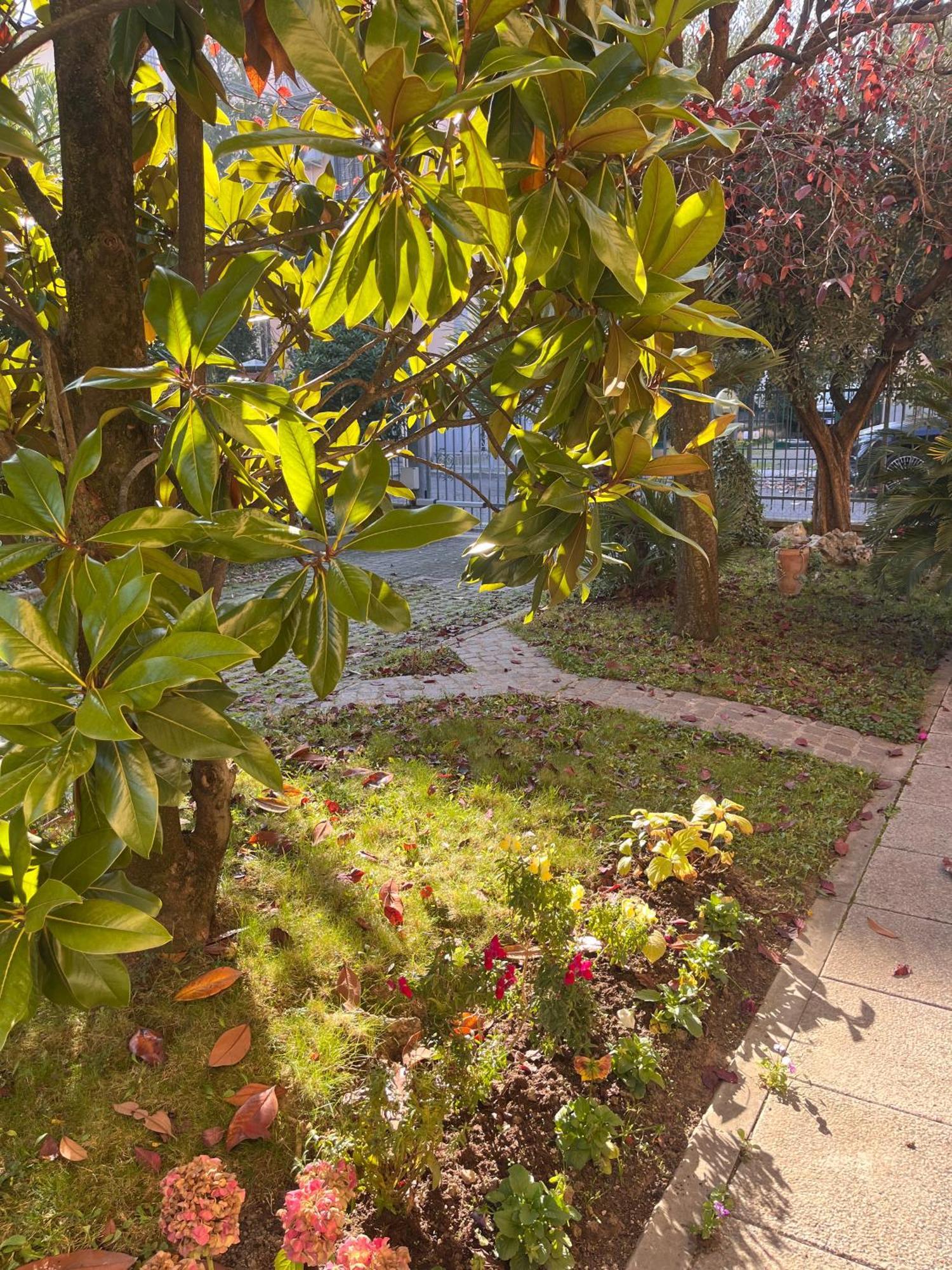 Bloom As You Are — Fotos 2